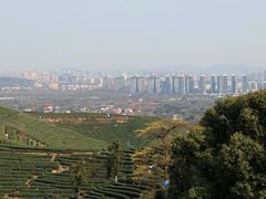 -龙坞茶村