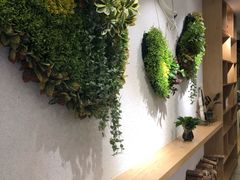 -大葱柠檬茶scallionlemontea(中山八路富力店)