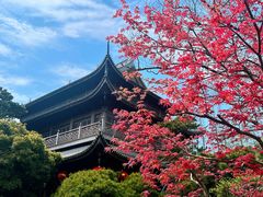 -龙华寺