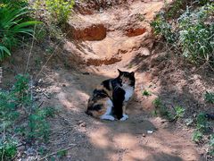 -北京西山国家森林公园