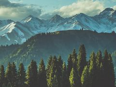 -山王坪喀斯特国家生态公园
