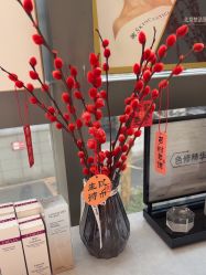 -北京楚诺医疗美容