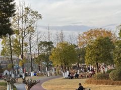 -两河城市森林公园