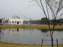 -昆山城市生态森林公园