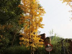 -重庆工商大学(南岸校区)