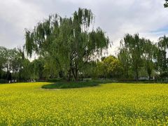 -北坞公园