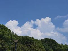 -水上明月·湖景餐厅