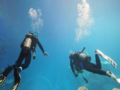 -成都浩海立方海洋公园