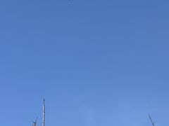 -同里国家湿地公园