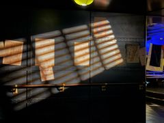 -武汉知音号