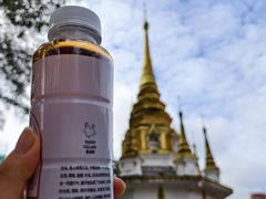 -瑞丽独树成林风景区