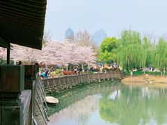 -玉山公园