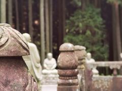 -武陵山森林公园