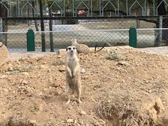 -秦皇岛野生动物园