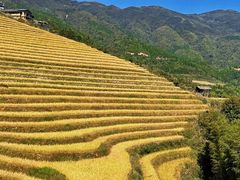 -龙脊梯田