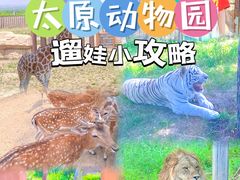 -太原动物园