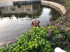 -合肥野生动物园