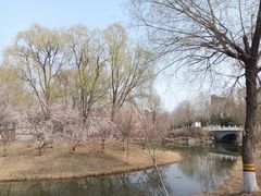 -河北省园博园