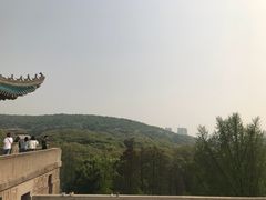 -武汉大学-樱园