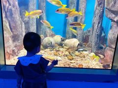 -福州罗源湾海洋世界旅游区