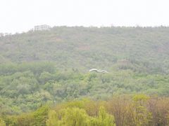 -黄河小浪底水利枢纽风景区