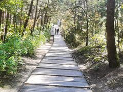 -帽儿山国家森林公园