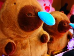 -酷乐潮玩(大悦城店)