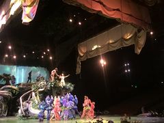 -迪士尼乐园停车场