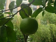android_upload_pic-杭州电子科技大学(下沙校区)