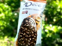 黑巧脆皮榛子牛奶冰激凌-哈根达斯(美罗城店)