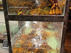 -甄御•海鲜新青岛菜(麦岛店)