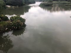 -金山公园