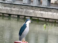 -三林塘老街