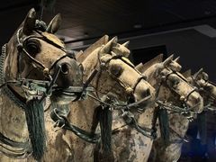 -秦始皇帝陵博物院(兵马俑)