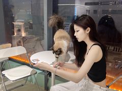 -怪兽屋·羊驼·猫咖·狗咖(俊华广场店)