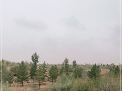 -亿利库布其七星湖沙漠生态旅游区