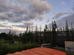 -前小桔亲子创意农场·草莓采摘·露营烧烤