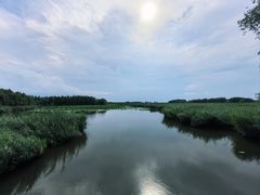 -白渔泡湿地公园