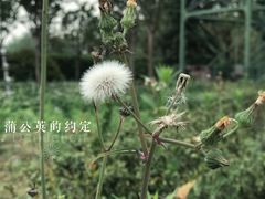 -云幽谷旅游区