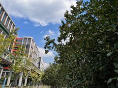 -爱维尔阳光蛋糕(独墅湖邻里中心店)