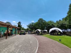 -太阳岛度假酒店