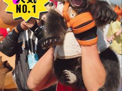 -西霞口神雕山野生动物世界