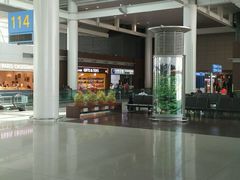 -乐天免税店(仁川国际机场店)