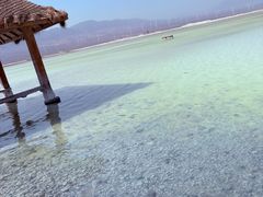 -盐湖景区