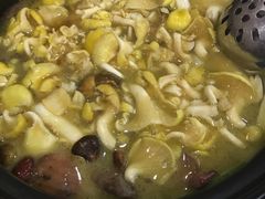 -菌之家·专业纯野生菌火锅·特色炒菌