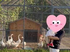 -前小桔亲子创意农场·草莓采摘·露营烧烤