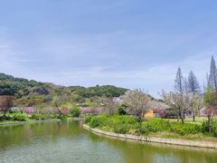 -苏州上方山国家森林公园