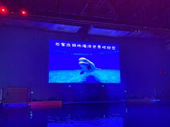 -石家庄极地海洋世界