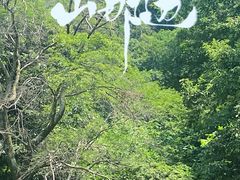 -终南山南五台景区