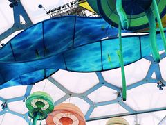 -水立方嬉水乐园